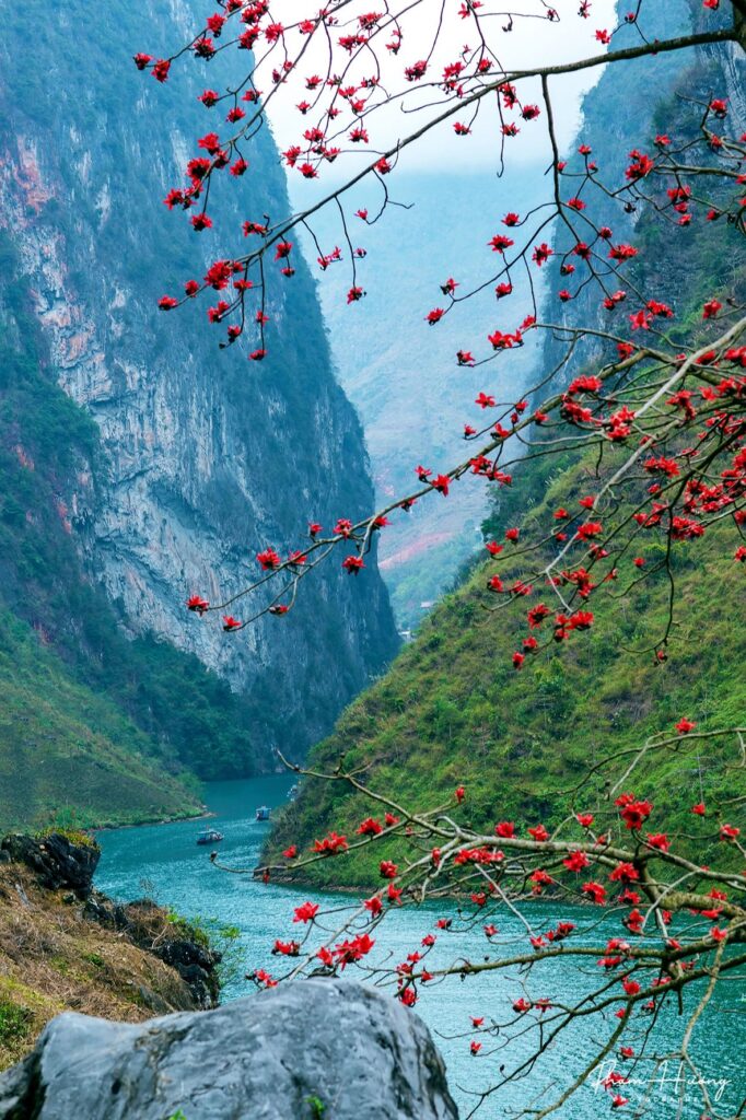 Sông nho quế mới