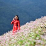 Hà giang tam giác mạch