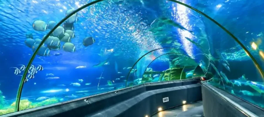 Viện hải dương học